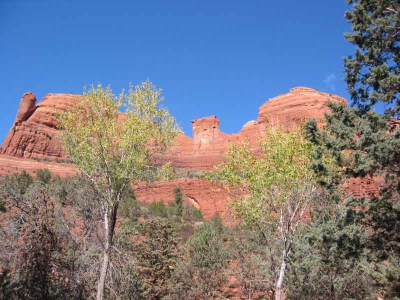 IMG_1101.JPG