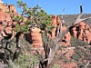 IMG_1117.JPG