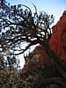 img_1136.jpg