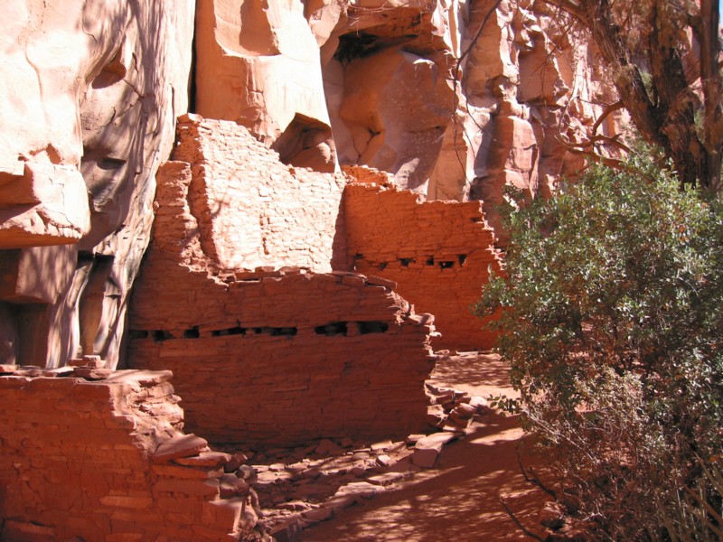 IMG_1224.JPG