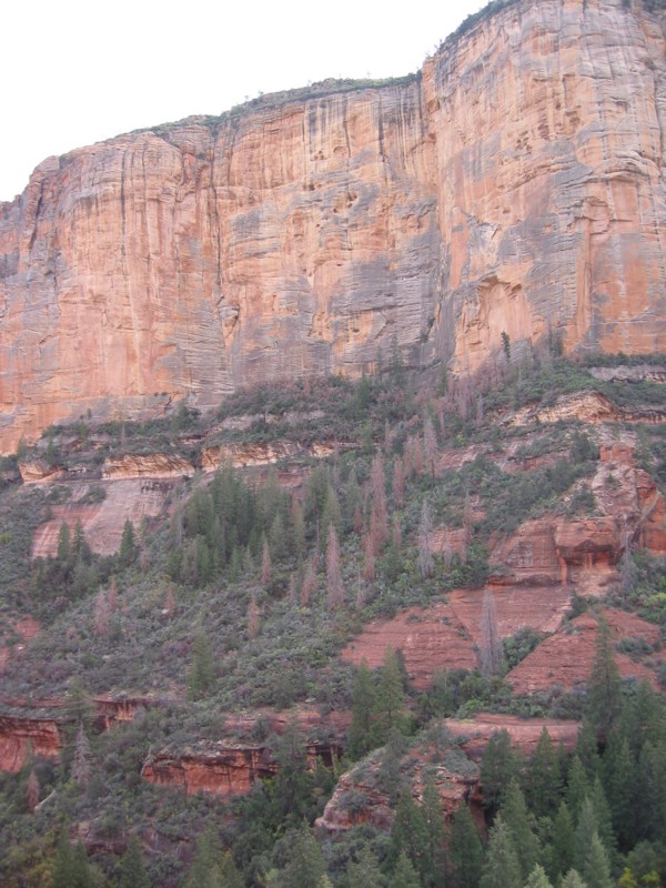 img_1300.jpg
