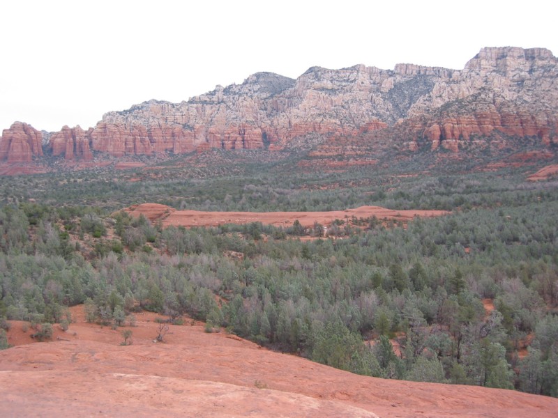IMG_1340.JPG