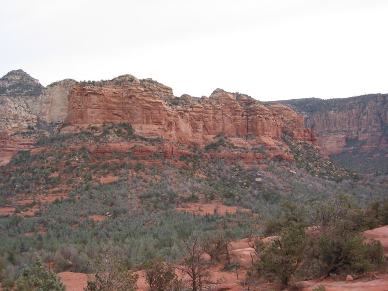 IMG_1355.JPG