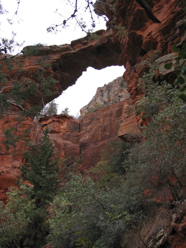img_1372.jpg