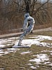 img_1804.jpg