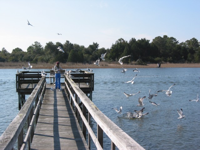 IMG_1922.JPG