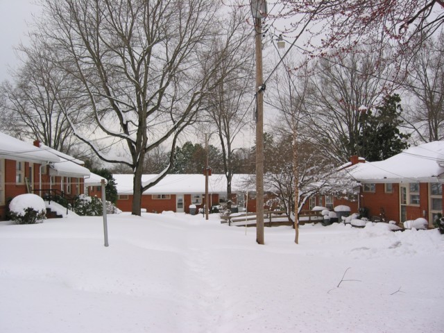 IMG_1952.JPG
