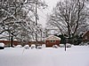 IMG_1951.JPG