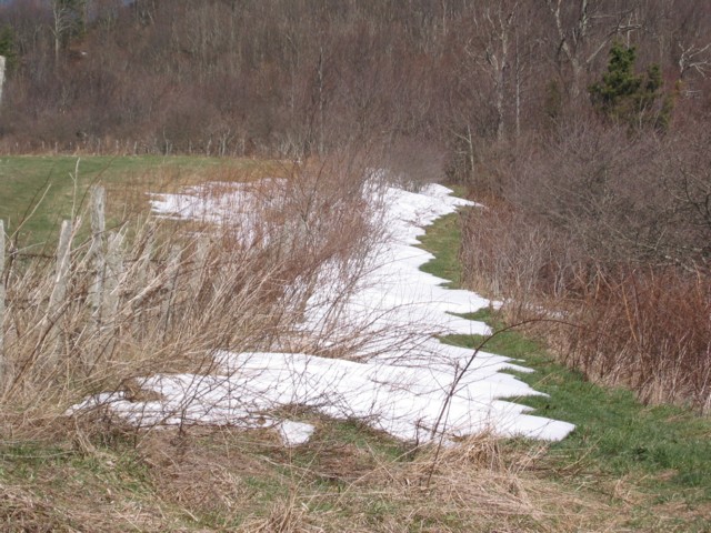 IMG_2160.JPG