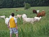 IMG_2313.JPG
