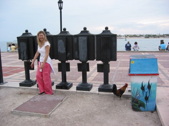 IMG_3636.JPG