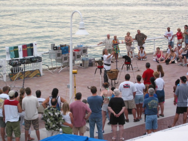 IMG_3639.JPG