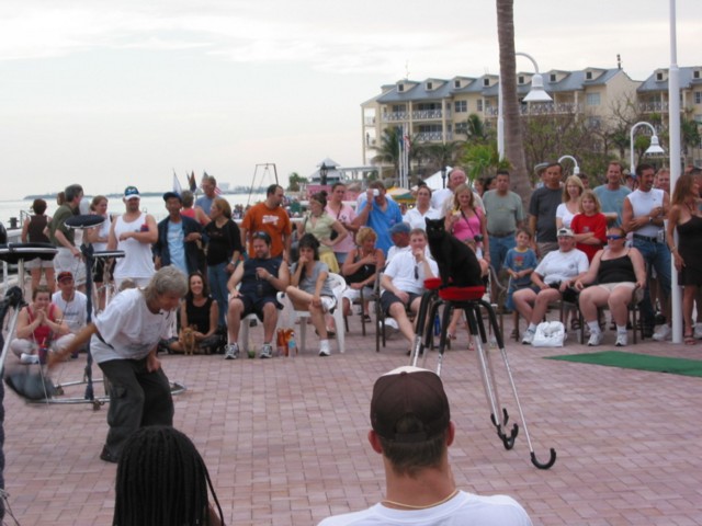 IMG_3641.JPG