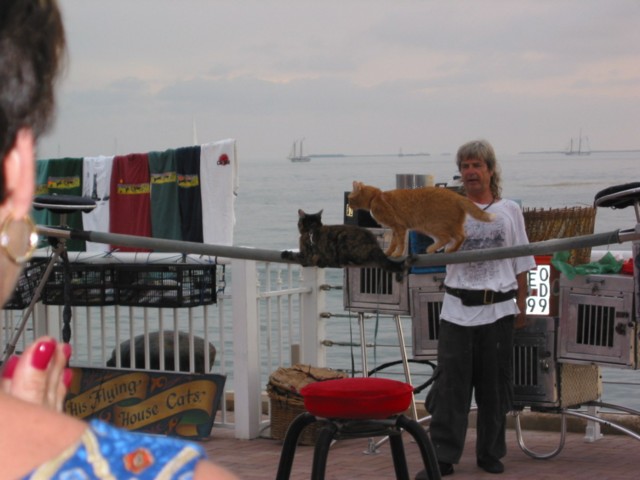 IMG_3642.JPG