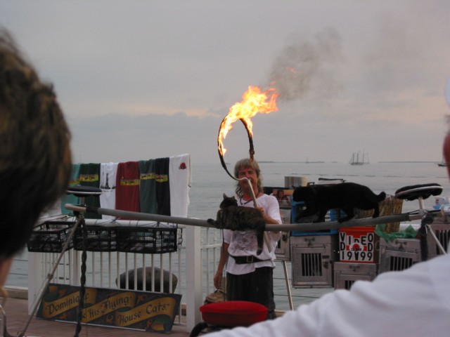 IMG_3643.JPG