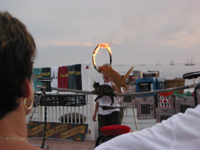 IMG_3645.JPG
