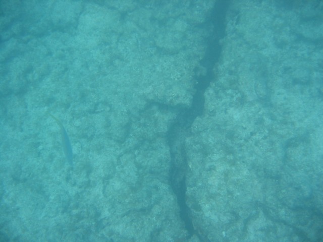 IMG_3651.JPG