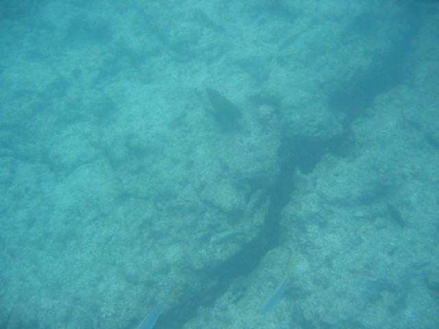 IMG_3652.JPG