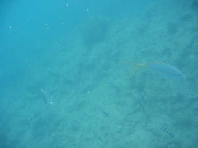 IMG_3653.JPG