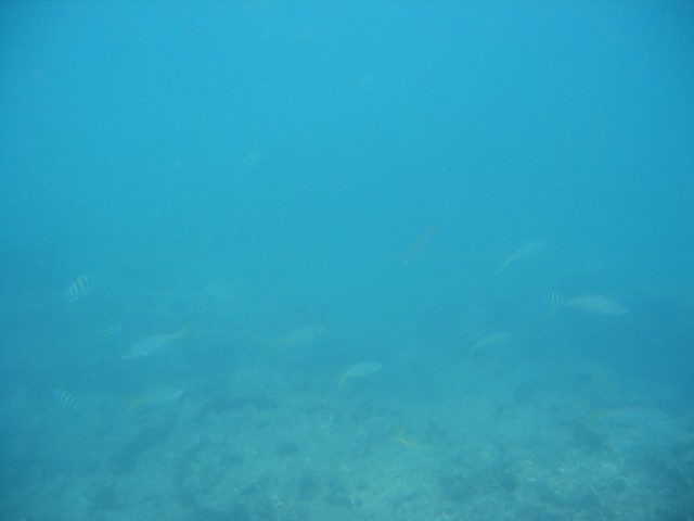 IMG_3658.JPG