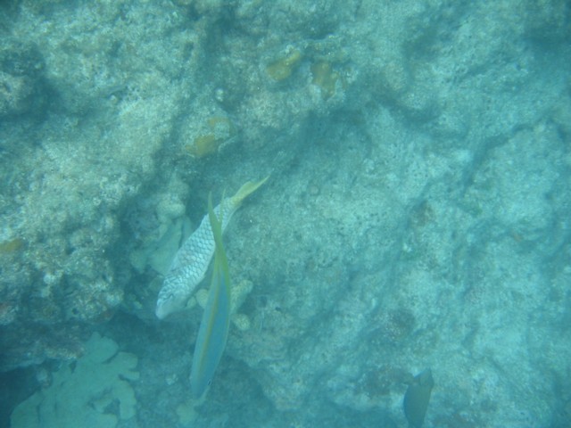 IMG_3662.JPG