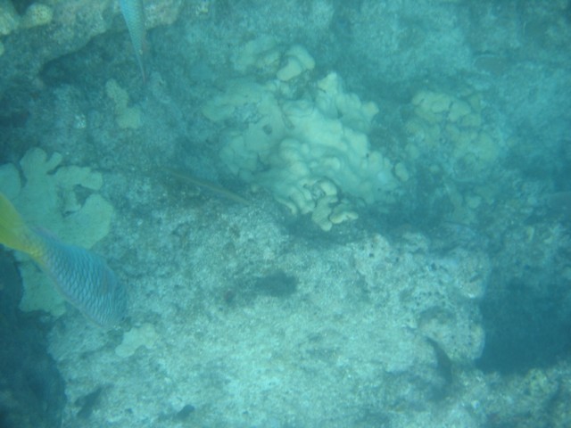 IMG_3663.JPG