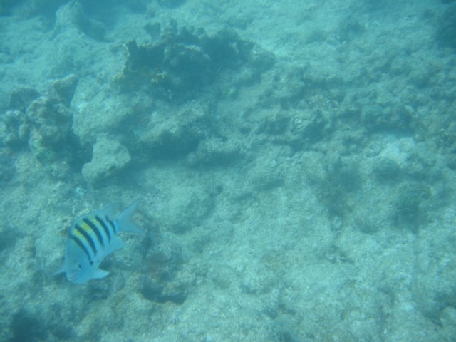 IMG_3664.JPG