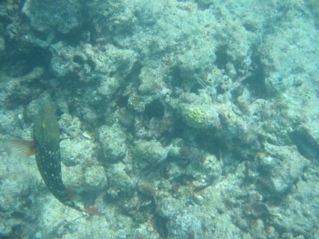 IMG_3668.JPG