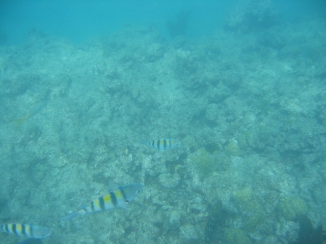 IMG_3670.JPG