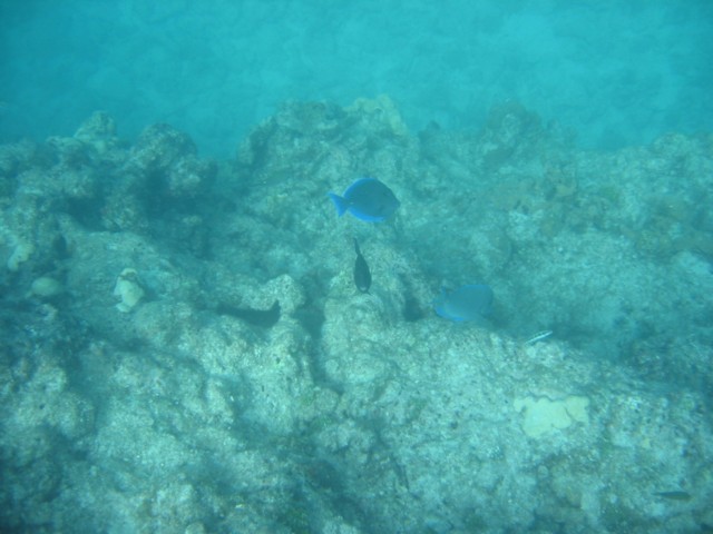 IMG_3671.JPG