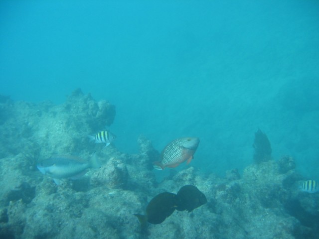 IMG_3672.JPG