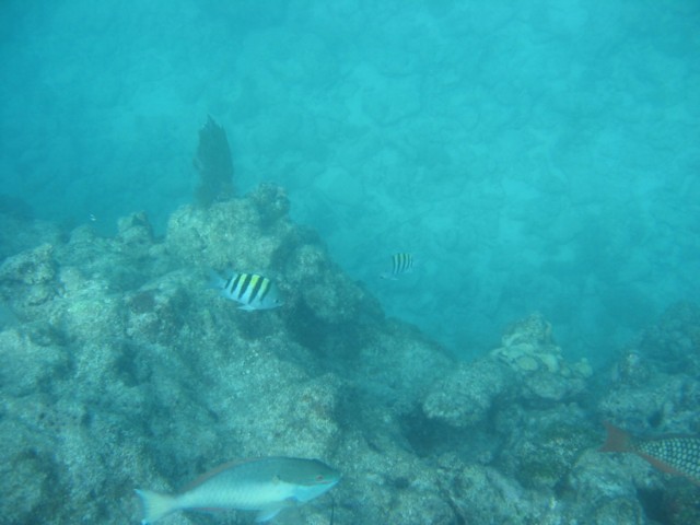 IMG_3673.JPG