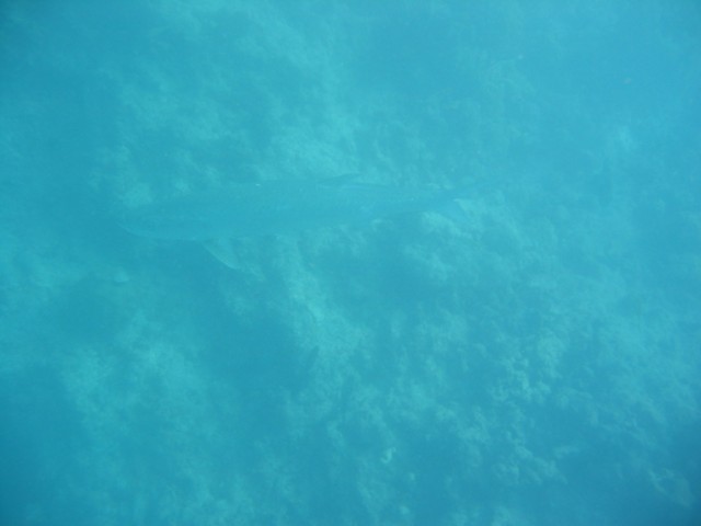 IMG_3674.JPG