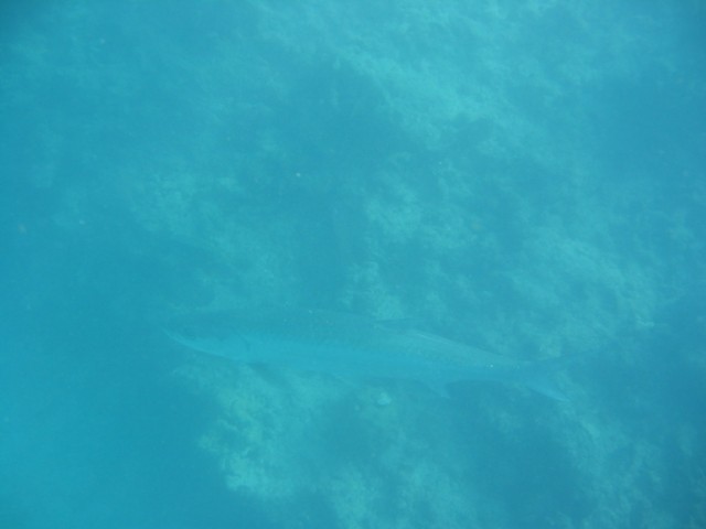 IMG_3675.JPG