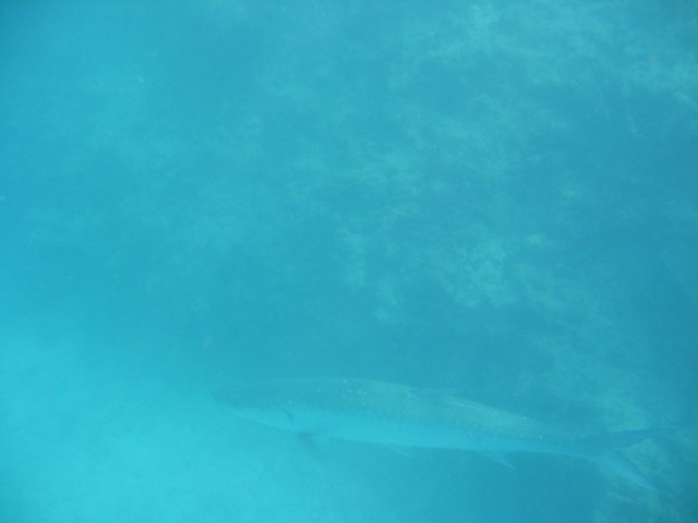 IMG_3676.JPG
