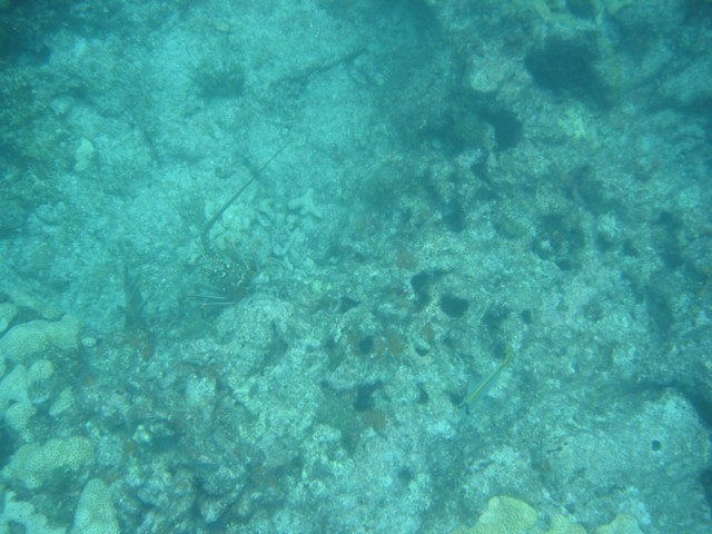 IMG_3679.JPG