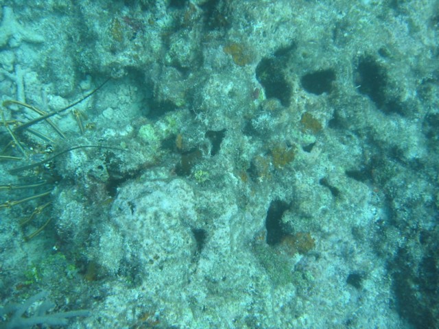IMG_3680.JPG