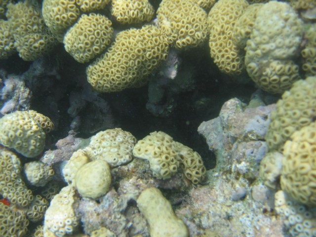 IMG_3682.JPG