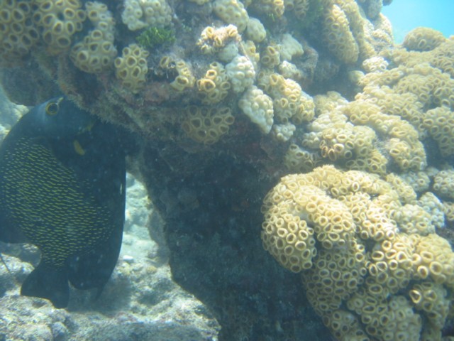 IMG_3683.JPG