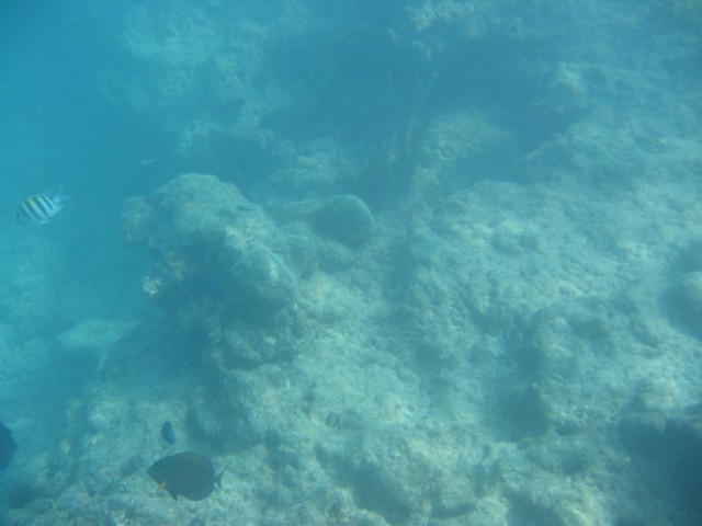 IMG_3684.JPG