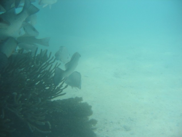 IMG_3707.JPG