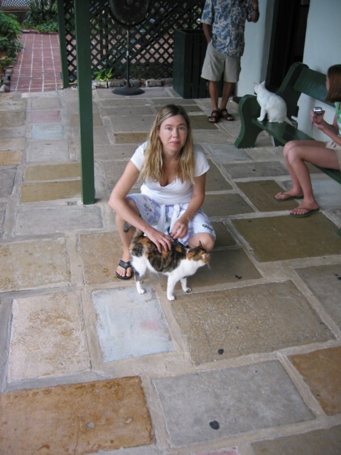 img_3712.jpg