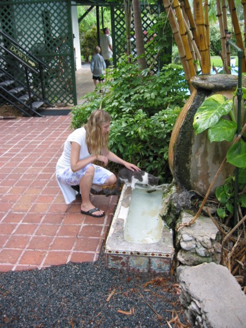 img_3713.jpg