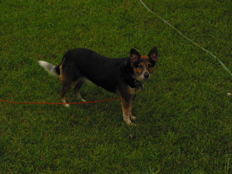 IMG_0051.JPG