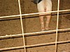 IMG_0018.JPG