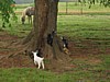 IMG_0029.JPG