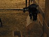 IMG_0037.JPG