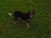 IMG_0051.JPG