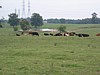 IMG_0622.JPG