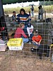 IMG_0625.JPG